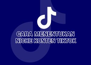 cara menentukan niche konten di tiktok