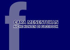 cara menentukan niche konten facebook