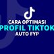 cara optimasi profil tiktok