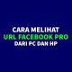 cara melihat url facebook